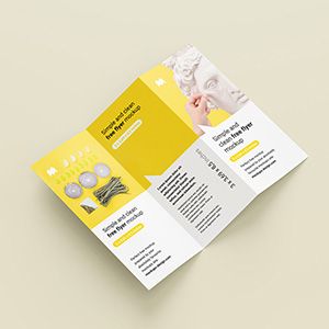 Preview_today_small_us-tri-fold-flyer-mockup