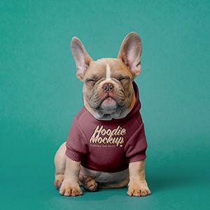 small_free-dog-hoodie-mockup